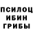 Марихуана индика Tosha Alumkulova