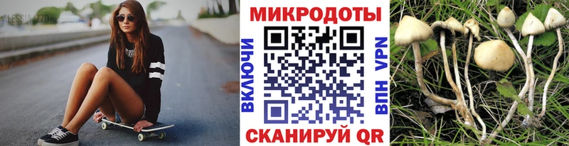 Псилоцибиновые грибы Psilocybe  что такое   Абдулино 